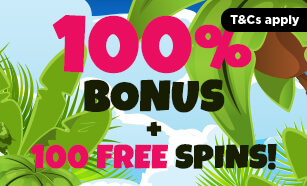 promo-100-bonus-spins.jpg